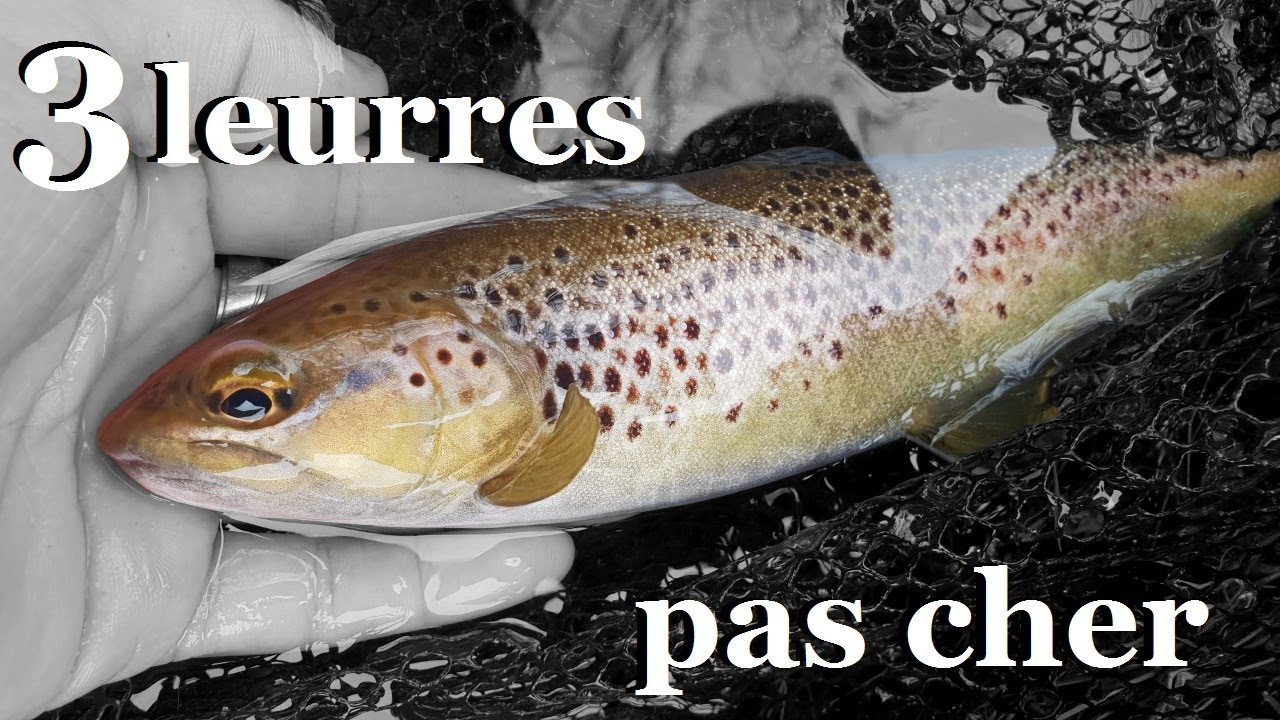 3 LEURRES PAS CHER mais TRÈS EFFICACES pour PÊCHER la TRUITE!