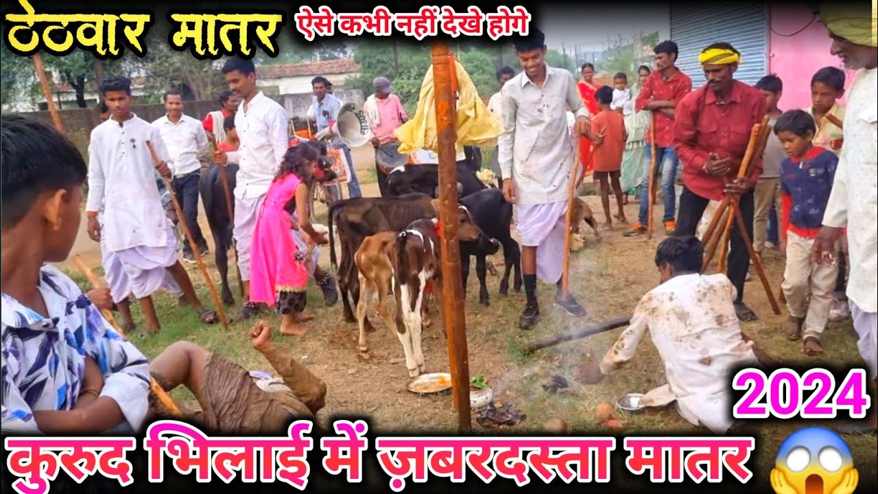 कुरूद भिलाई में जबरदस्त मातर 2024 🚩(ठेठवार मातर) लाठी डंडे के साथ निकली तलवार 😱#trending #viralvideo