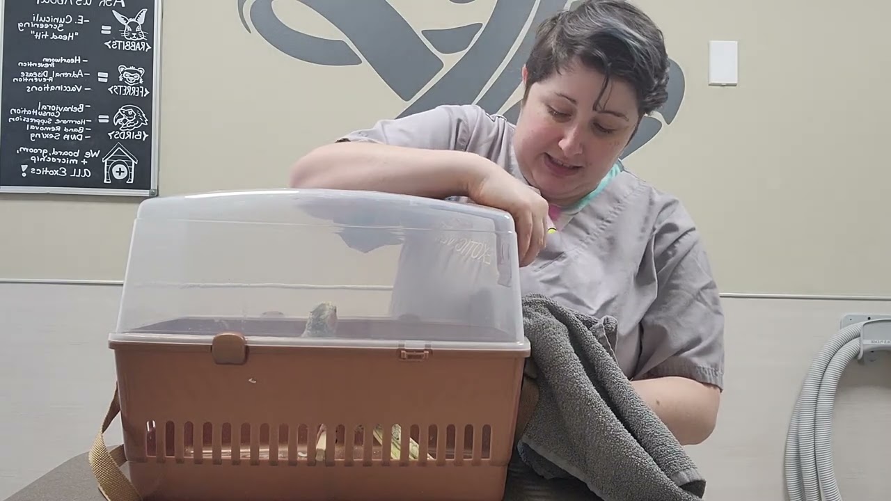 Pet Care Basics:  Small Bird Restraint