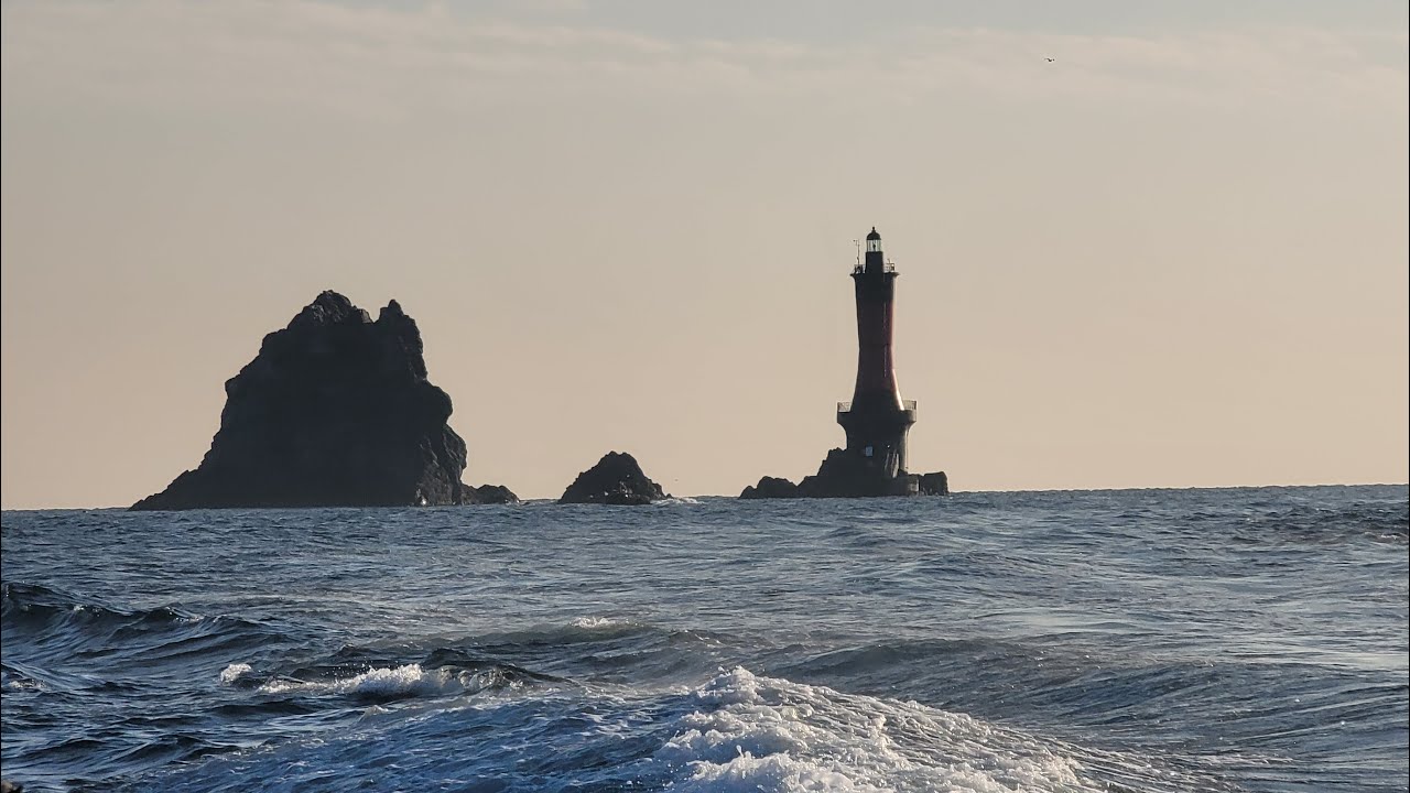 2026년 1월 16일 금요일