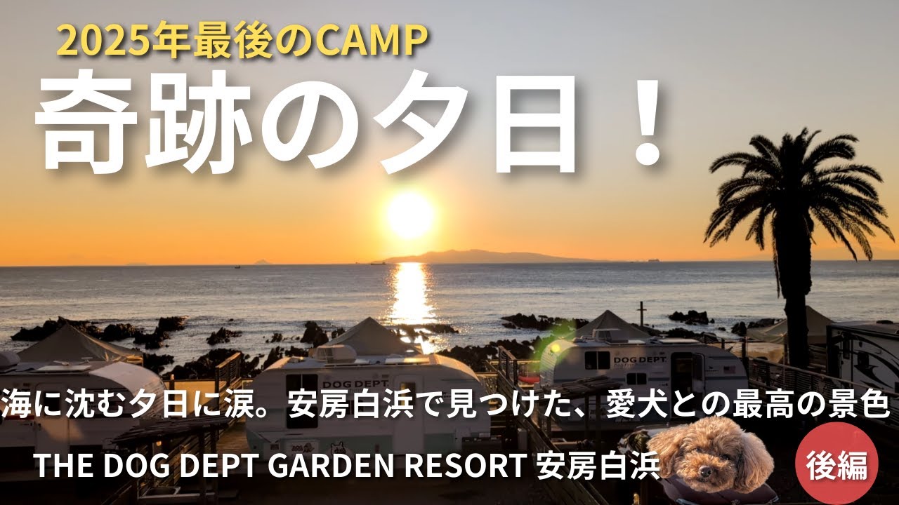 【DOG DEPT GARDEN RESORT南房総】キャンプ史上最高の夕日。南房総の美食と波音に癒やされる2泊3日