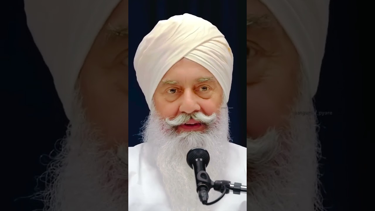 Radha Swami Babaji 🙏 #radhaswami #radha #radha #radhaswamijishabad #radhaswami#radhaswamirssb