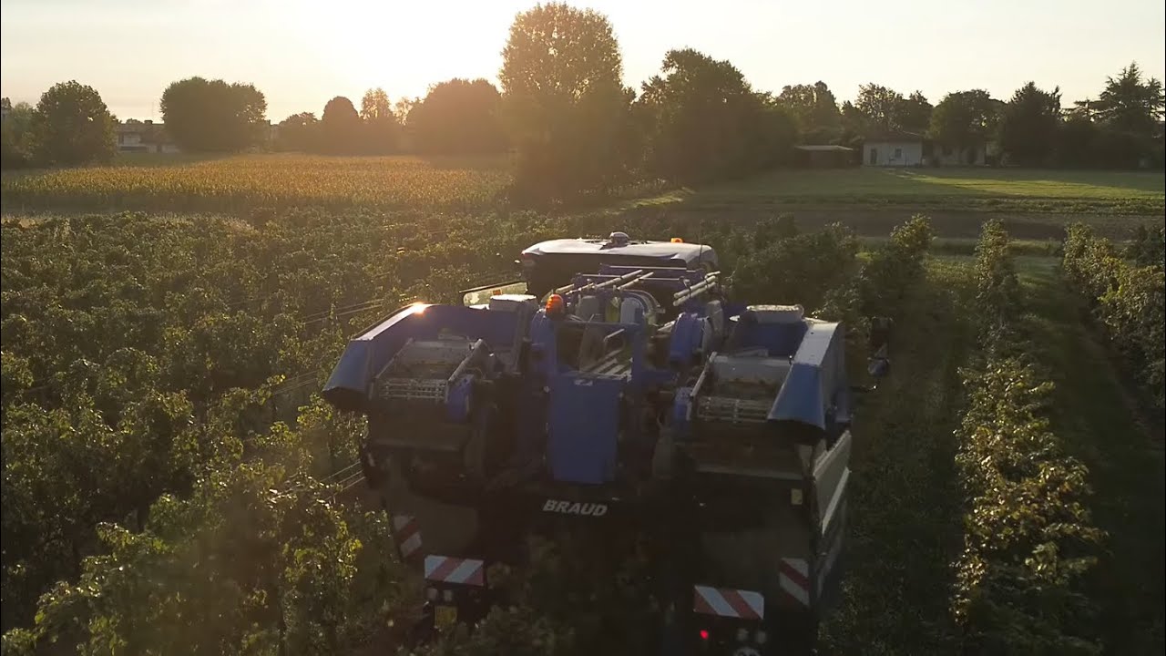 New Holland Broud 9090l | Vendemmia Prosecco 🍇 | Lamborghini spara 165 | Buso