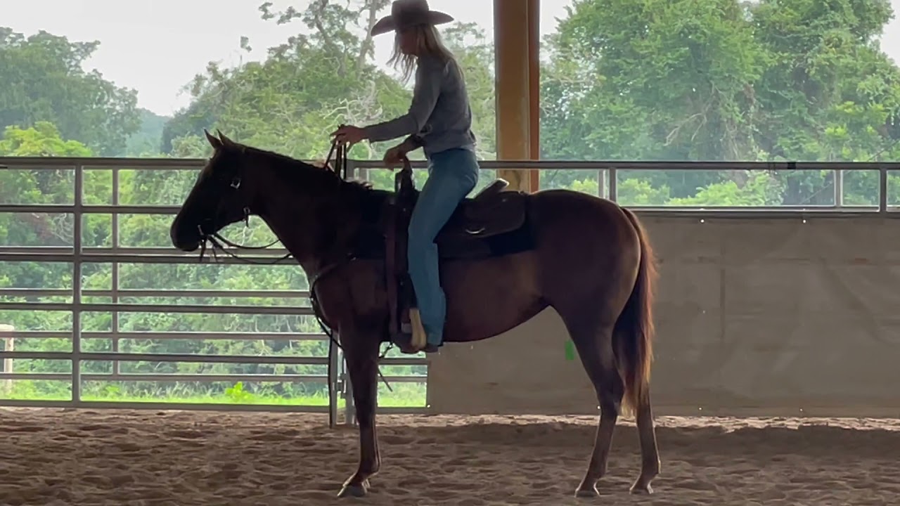 How to prepare yourself to fall off your horse.