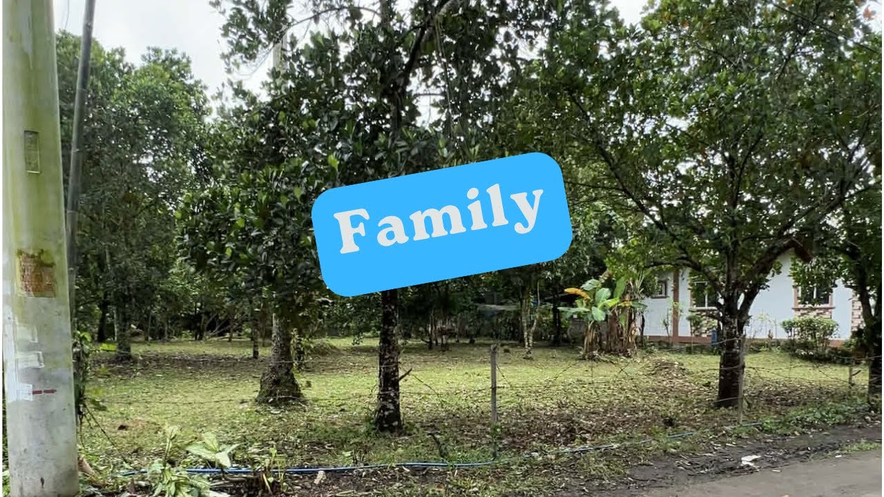 3700sqm Residential Farm Lot in Dolores Quezon