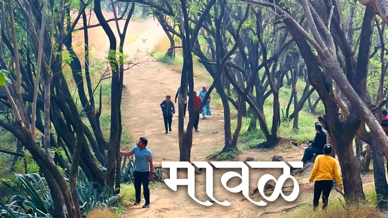 Easy Trek near Pune | Best Location for Jungle Trekking | Chaurai Devi Temple, Somatane Phata #vlog