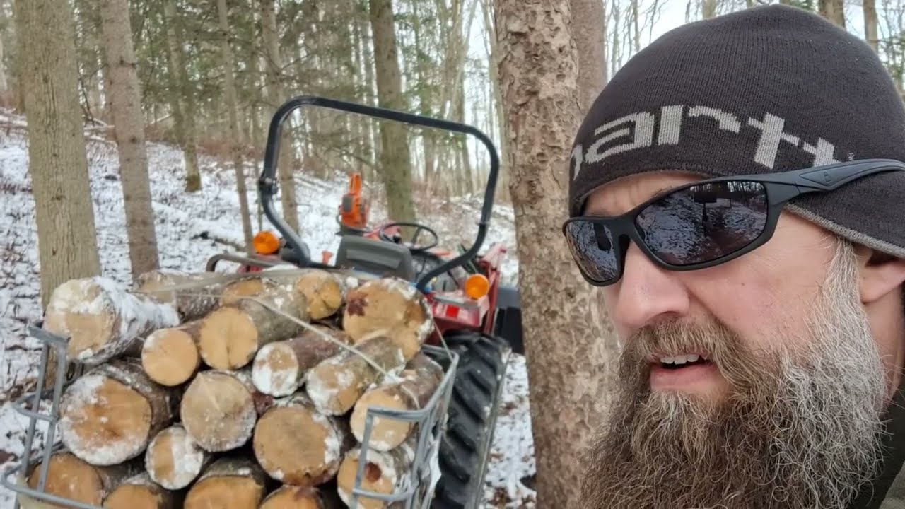 Пойдем в лес за дровами!