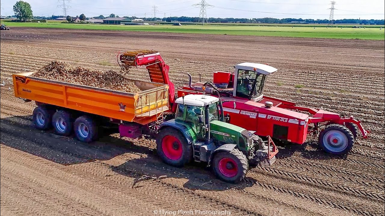 Uien laden | Loading onions | Zwiebeln laden | Grimme SF 1700 | Veenhuis XL | Fendt | Akkerbouw