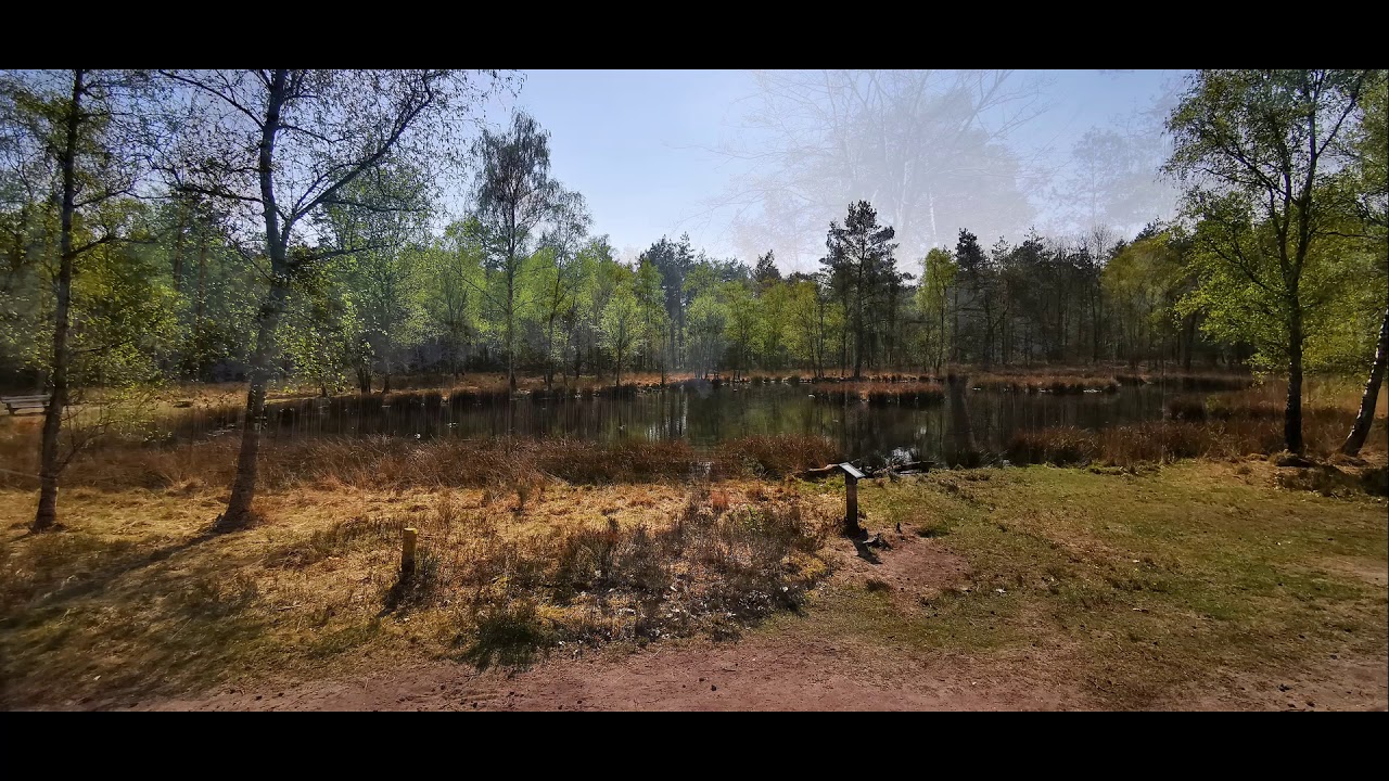 De Dellen (Veluwe, Heerde, Epe)