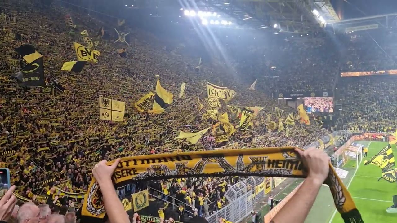 You Never Walk Alone #borusiadortmund #bvb #bvbfcsp
