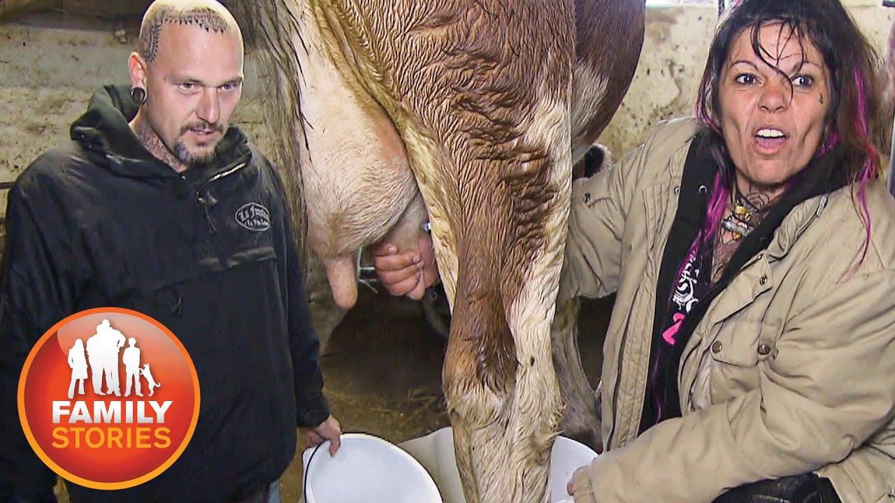 Bamba und Alex im Camping Chaos | Eine schrecklich verrückte Tattoo-Familie | Family Stories