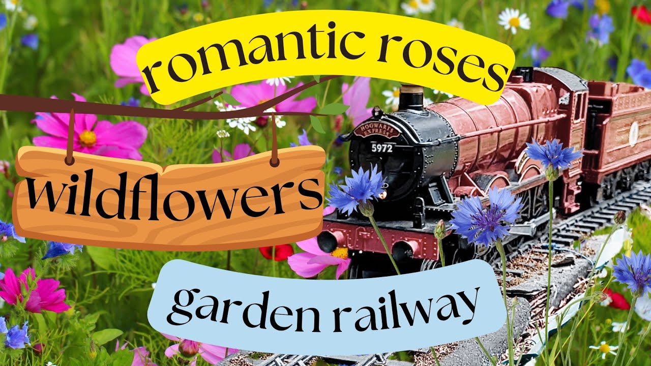 I created a miniature wildflower meadow! 🌼 Plus Chippy Flower Farm and Cotswold Rose Centre Shopping