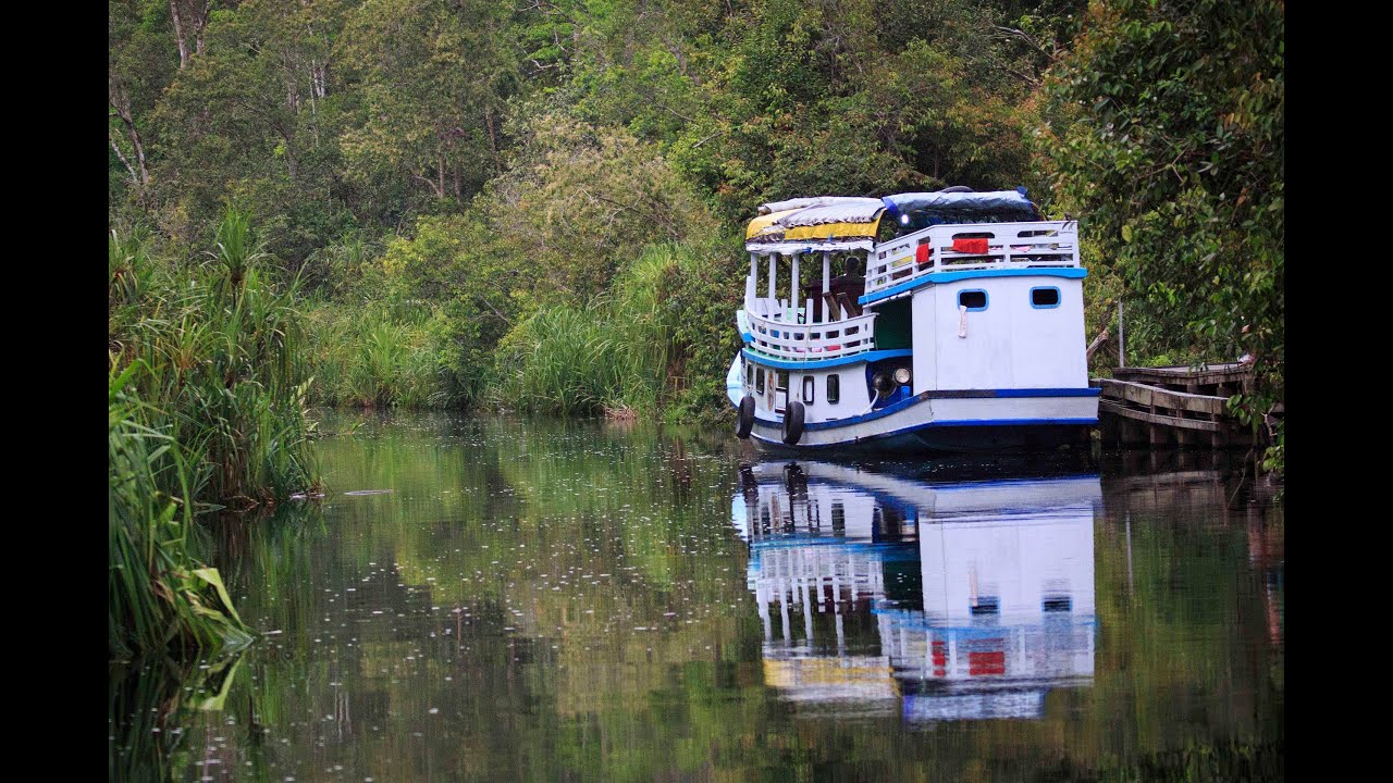 Klotok, Tanjung Puting National Park