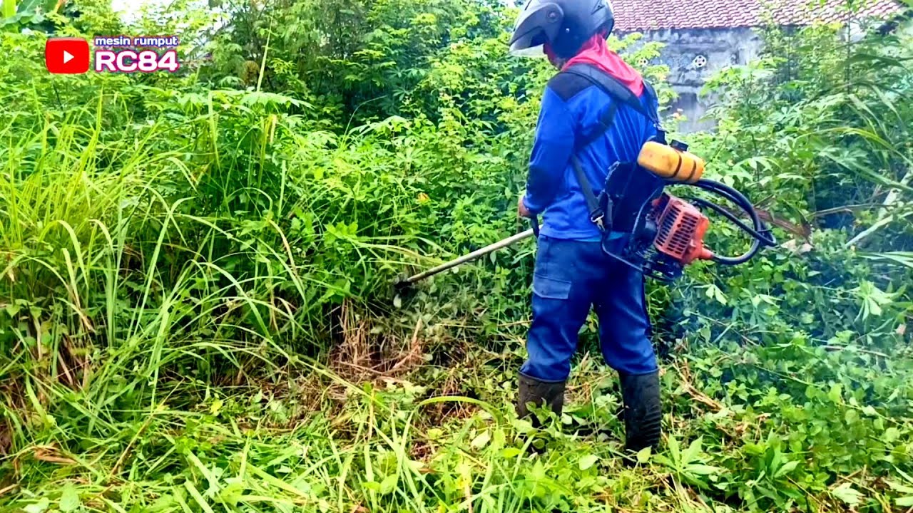 Wow Astaga parah banget rumput di lahan kosong  samping rumah pelanggan #rc84