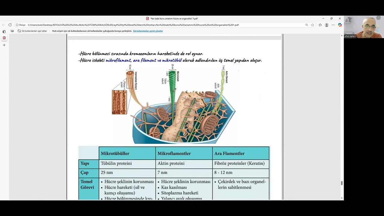 FEN ÖABT BİYOLOJİ HÜCRE VE ORGANELLERİ 4. SON VİDEO