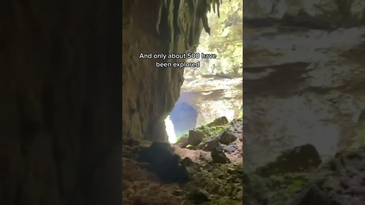 Cavernas de Camuy in Puerto Rico!