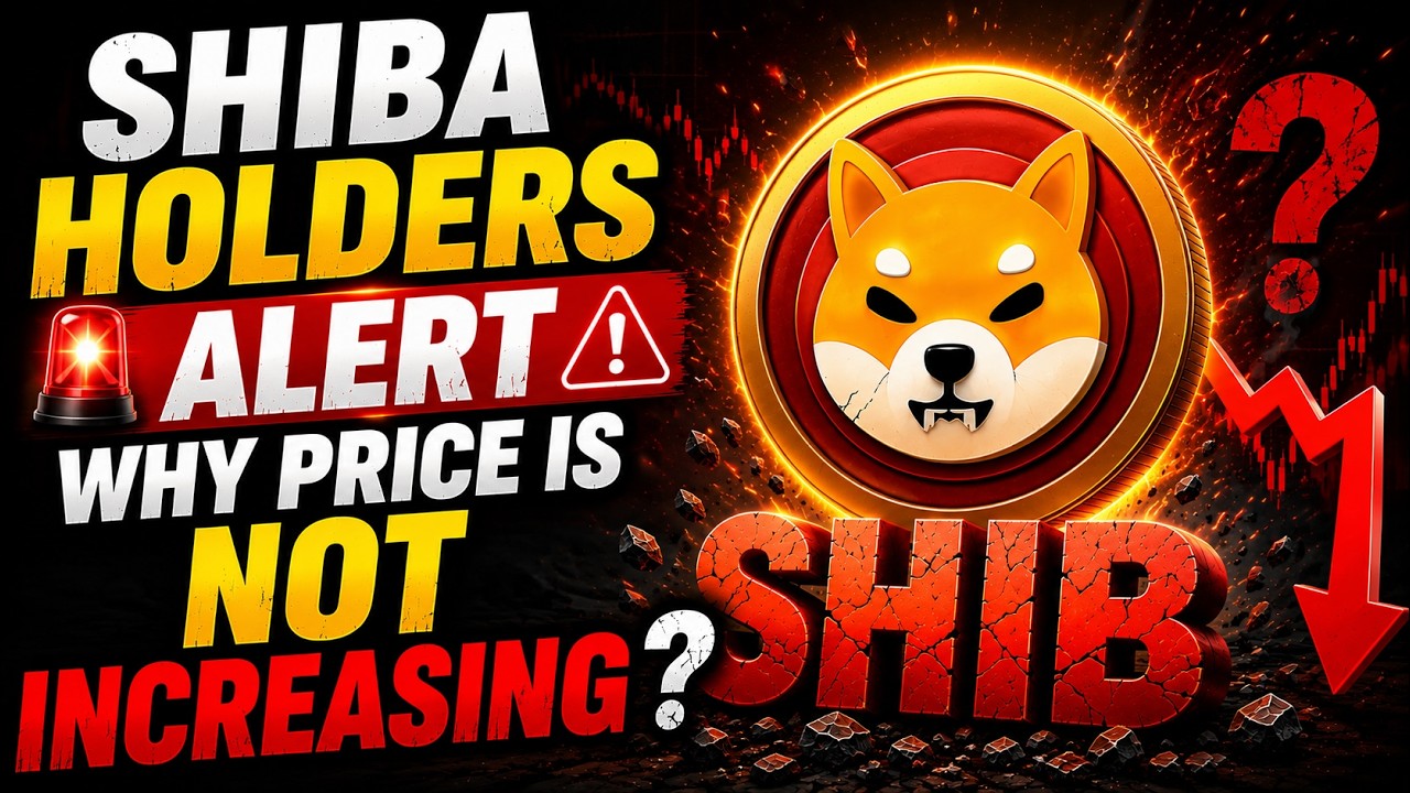 SHIB HOLDERS MUST KNOW! 🚨 Why SHIB Has HUGE Volume But No Price Move | Token Velocity Explained