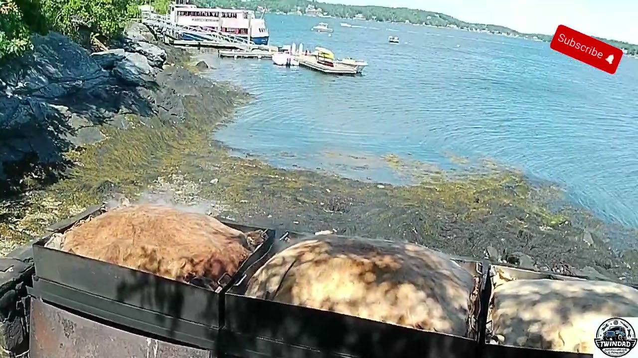 Cabbage Island, Maine: A Lobster Clambake Adventure