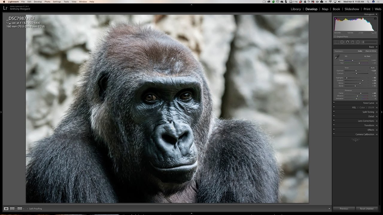 Lightroom Quick Tips - Episode 88: Fine Tuning Slider Control
