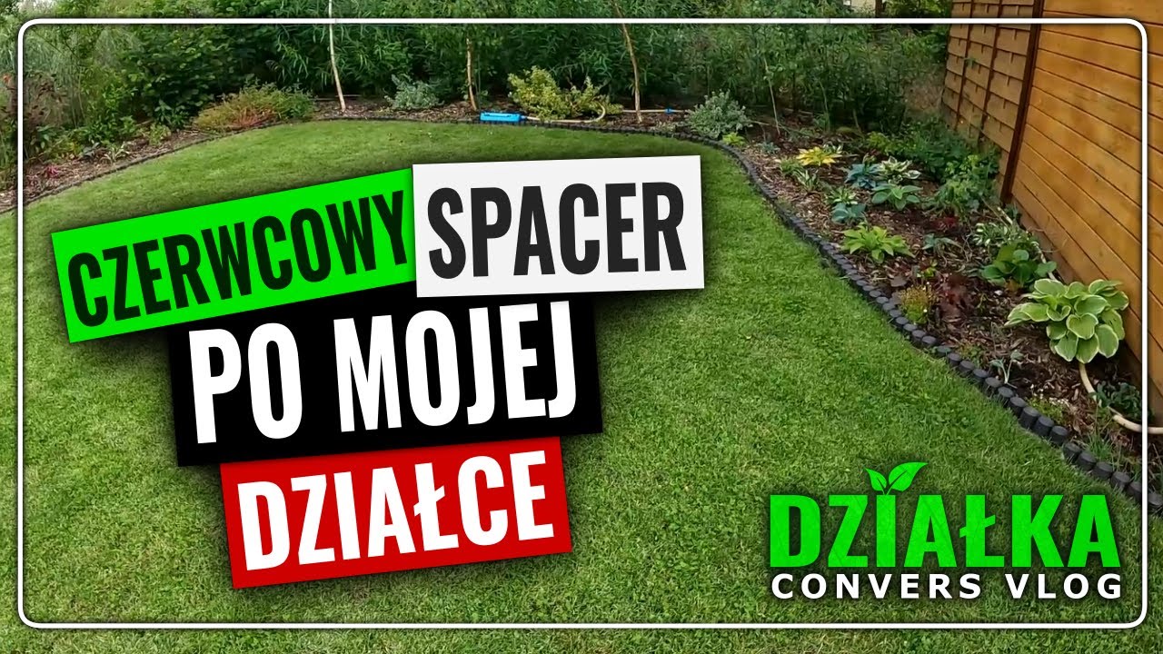 Czerwcowy spacer po ogrodzie ROD w sezonie 2023. Podsumowanie ostatnich tygodni prac na działce.