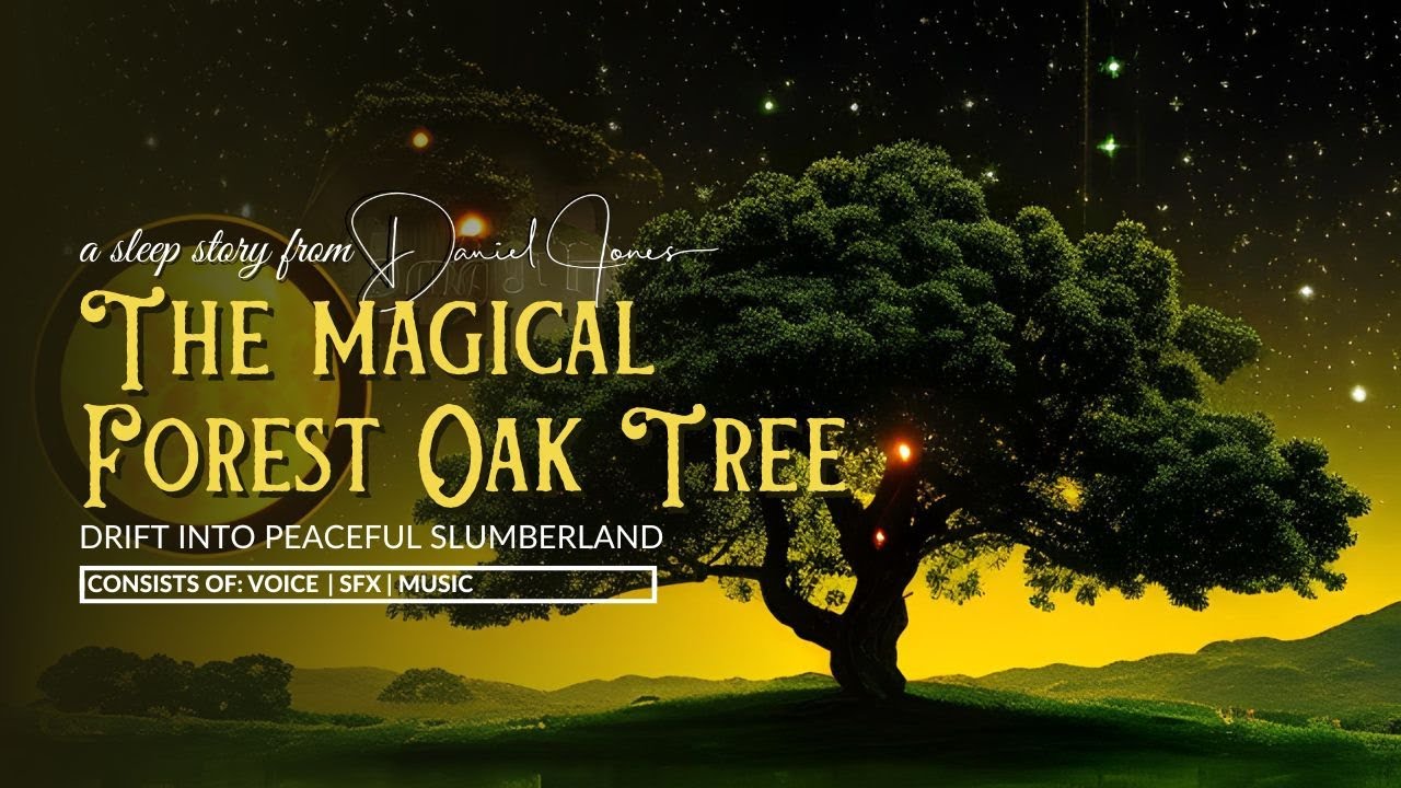 The Magical Forest Oak Tree LONG BEDTIME STORY FOR GROWN UPS | Dan Jones Sleep Stories