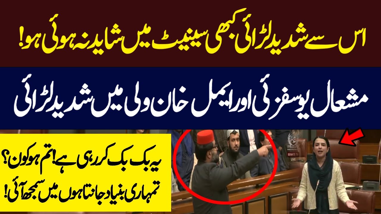Mishaal Yousafzai Vs Aimal Wali Khan | You Have never Seen Such Fight Before In Senate Session