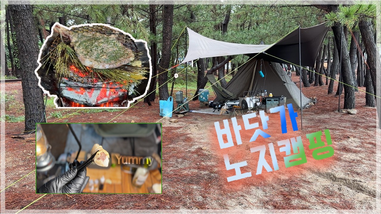 캠핑 요리의 차별화 / 솔잎 소고기 배추술찜  / 소고기 숯불 토마호크 / 폭풍과 폭우가 쏟아지던 날 바닷가에서 캠핑 / 입 안 가득 퍼지는 소고기 육향~ / #숯불요리