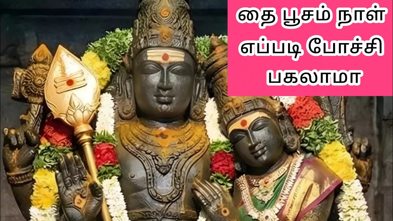 Vlog#47☘️ தை பூசம் நாள் எப்படி போச்சு👌?@TomandJerryofficial2024#youtube #vlog #youtuber #festival