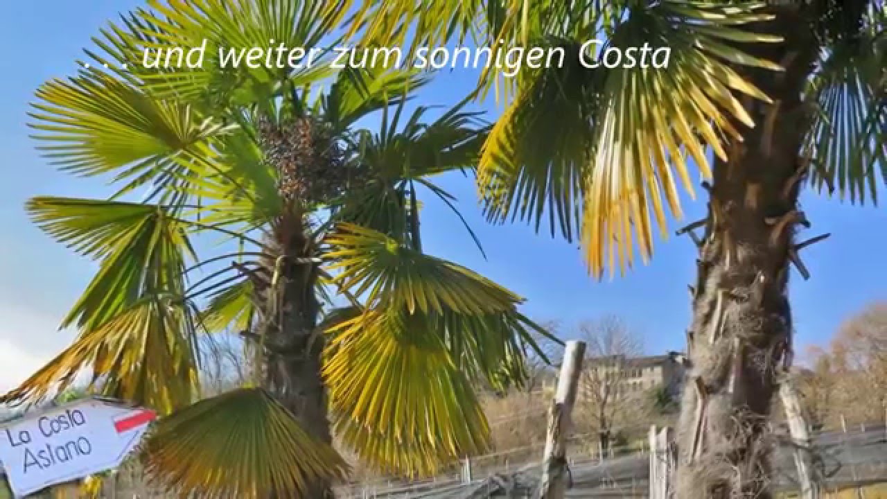 Lisoraschlucht   Malcantone  /// 4. Febr. 2016