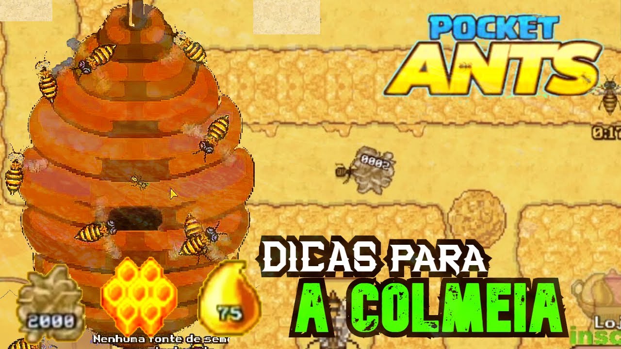 🐜Pocket Ants 🐜 Dicas Para A Colmeia🐝 é seu Labirinto Insano🔥🔥 .