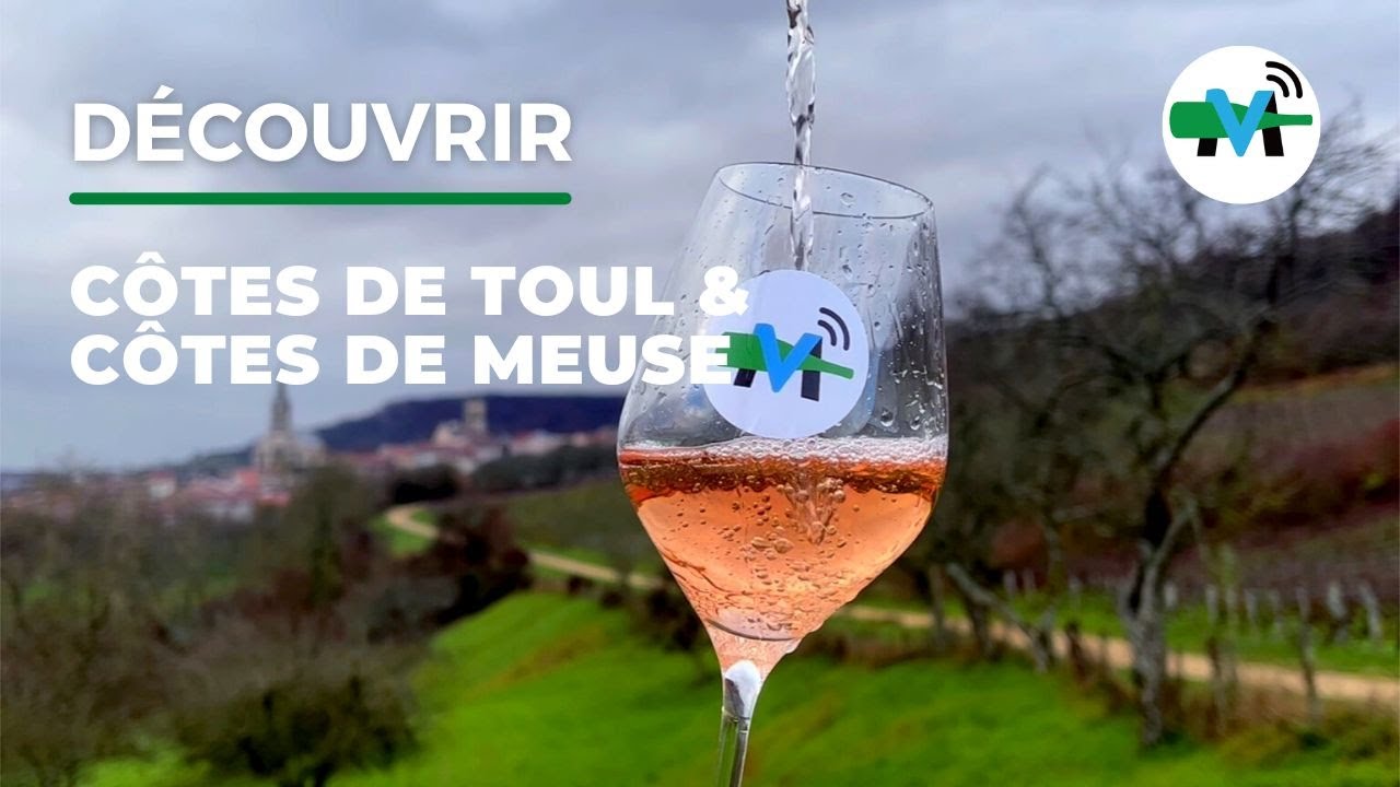 À la découverte des vignobles des Côtes de Toul & Côtes de Meuse !