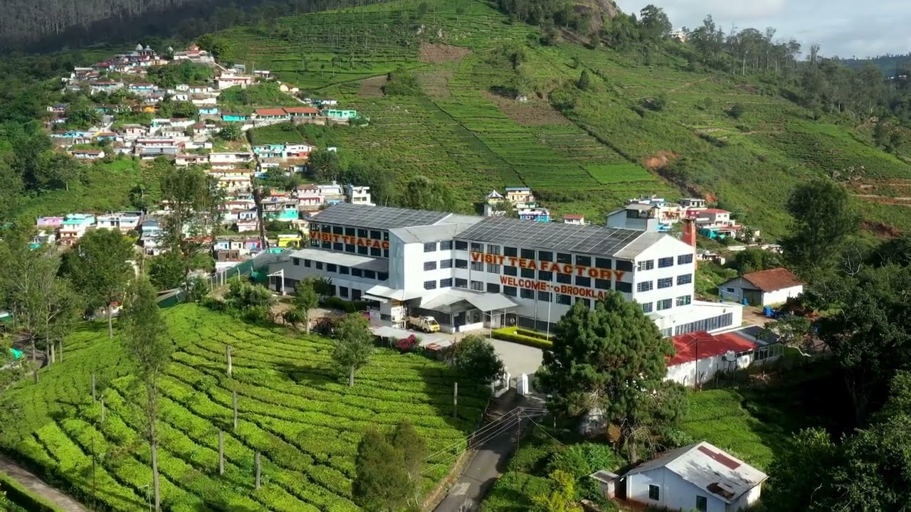 Brooklane Tea Factory Coonoor | Premium High Quality Nilgiri Tea