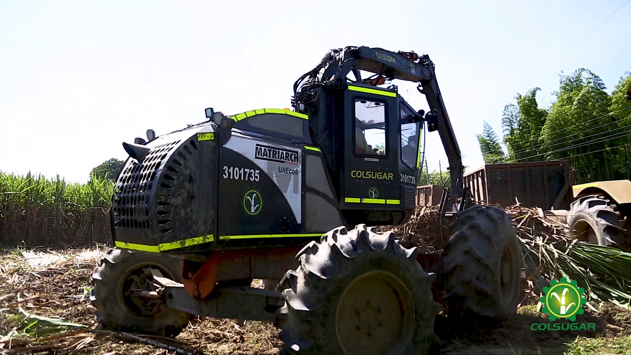 Alzadora Bell Matriarch UltECO 6. La alzadora de caña más versátil y económica del mercado.