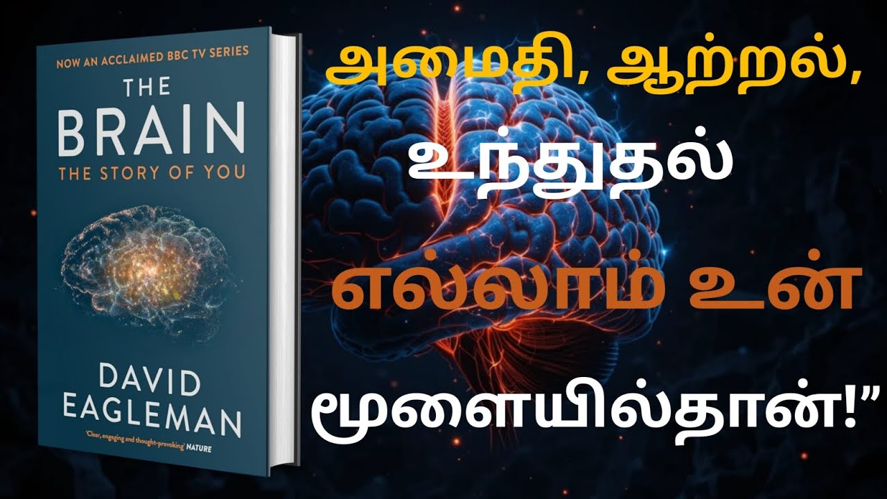 The Brain Book – Unlock the Hidden Power of Your Mind | Motivational Audiobook 