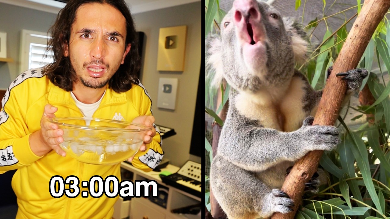 The Kiffness x Grunting Koala (Drum & Bass Morning Routine)