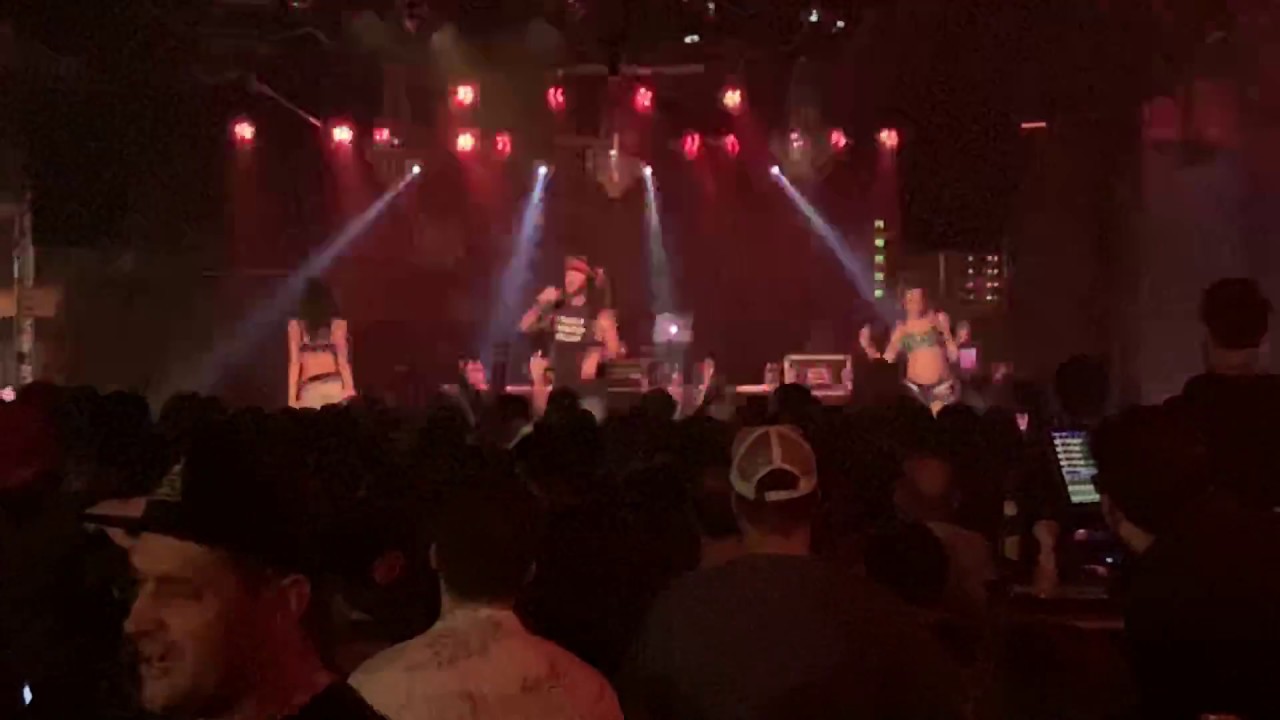 Mickey Avalon - full set (Live)