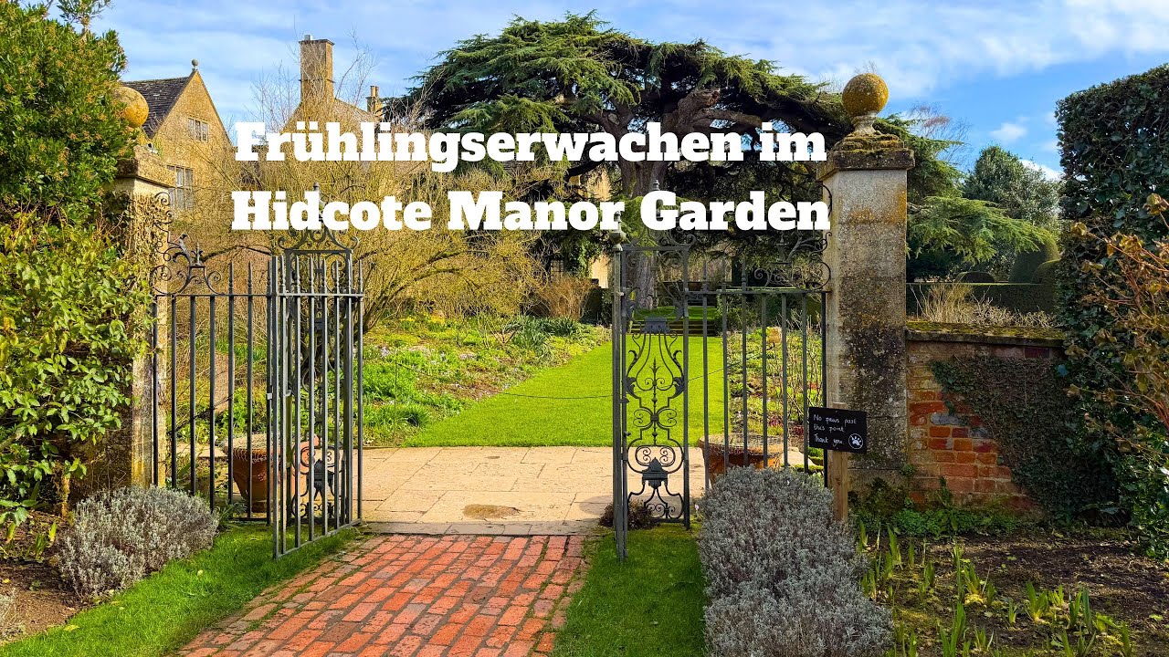 Hidcote Manor Garden: 🇬🇧🌷🌿Frühlingszauber in den Cotswolds #hidcoteGarden #cotswolds