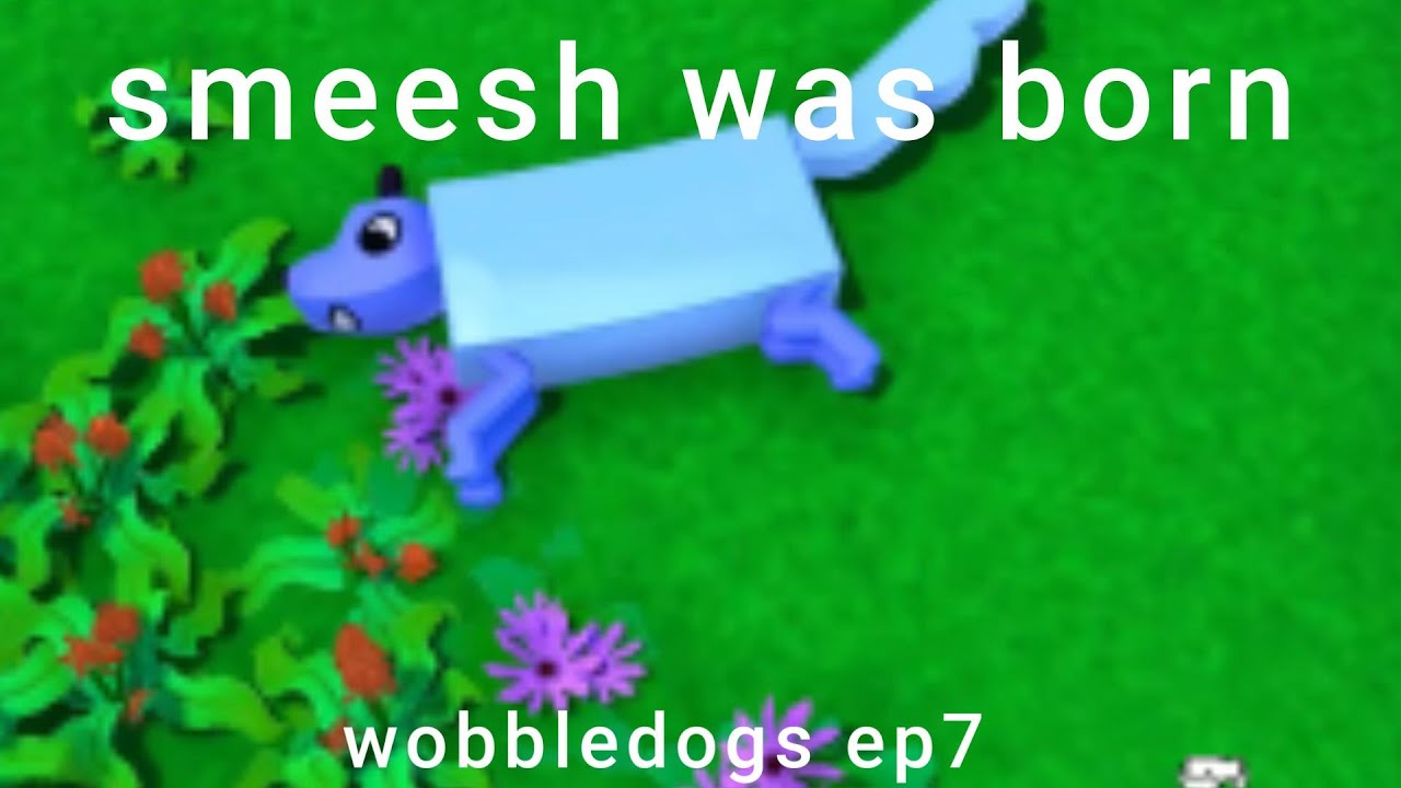 this dog is blue
