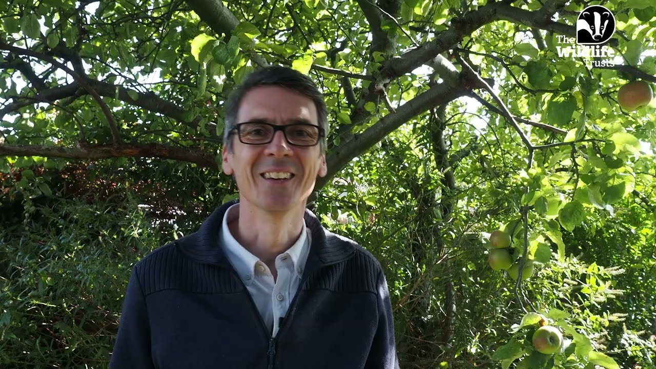 Cy Baker's Project with The Wildlife Trusts introduction