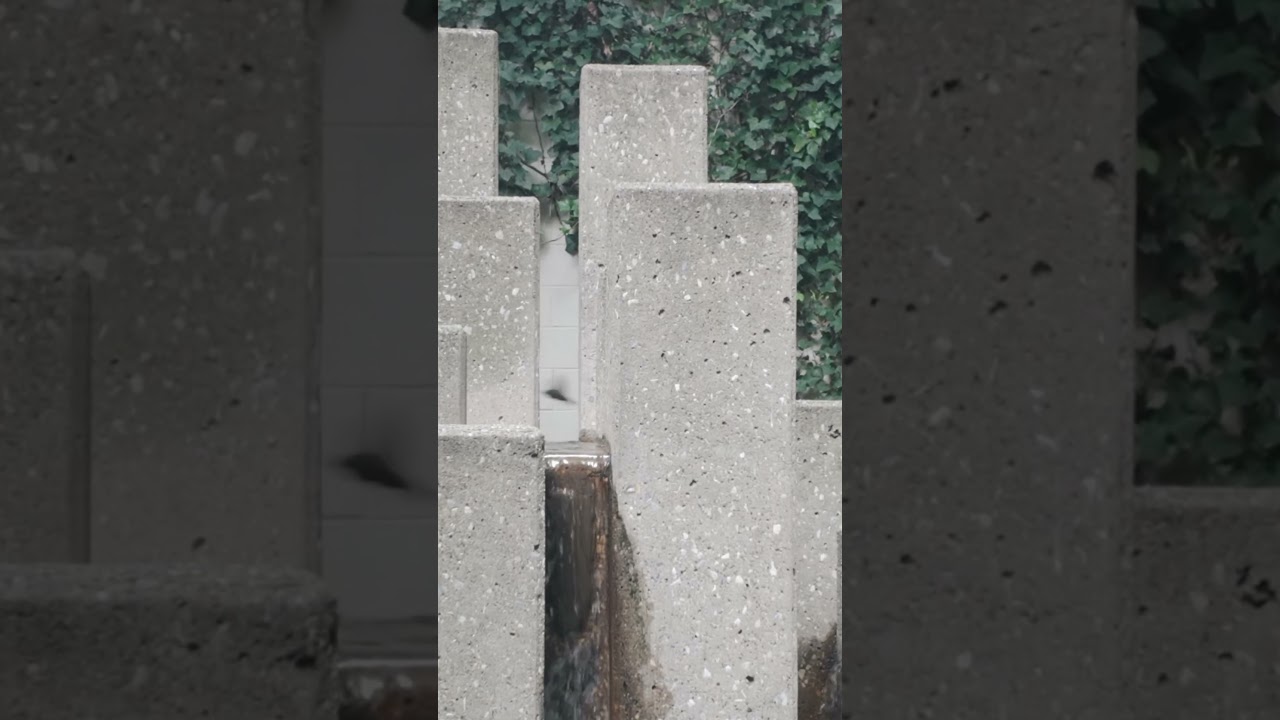 Philly Hidden Garden