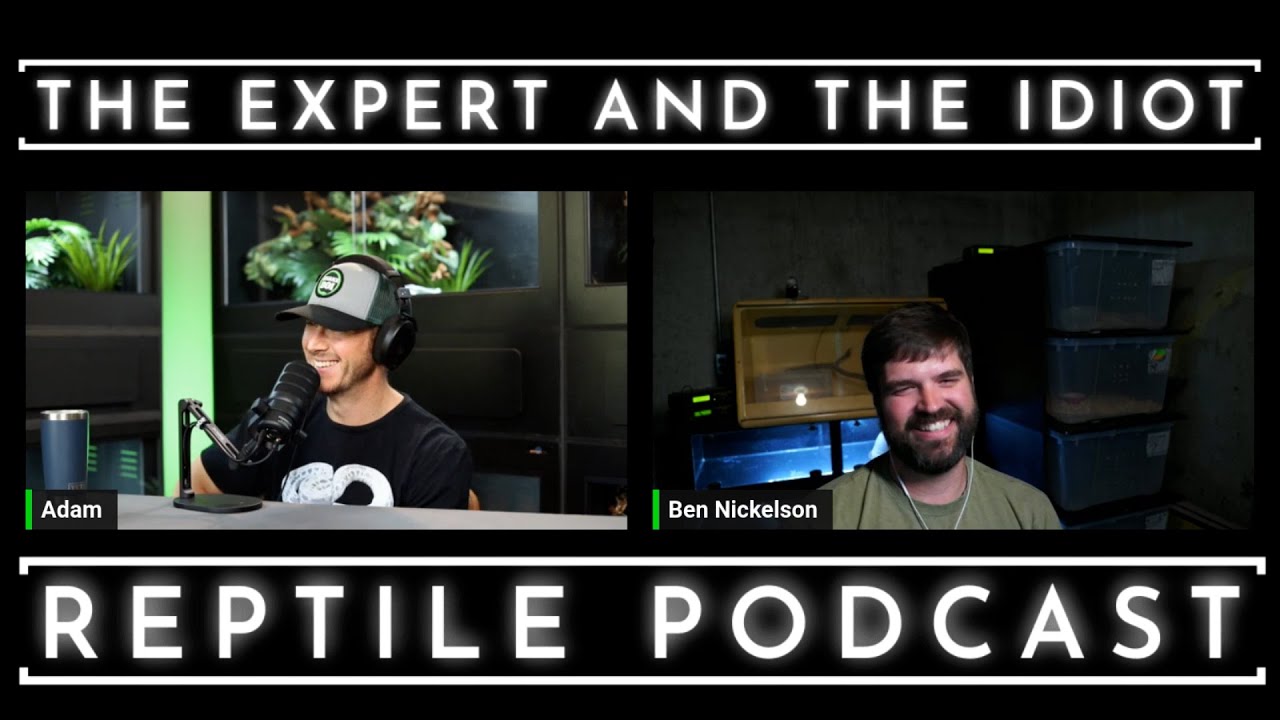 10 - Ben Nickelson of Nickelson Herpetoculture - The Expert and The Idiot - A Reptile Podcast