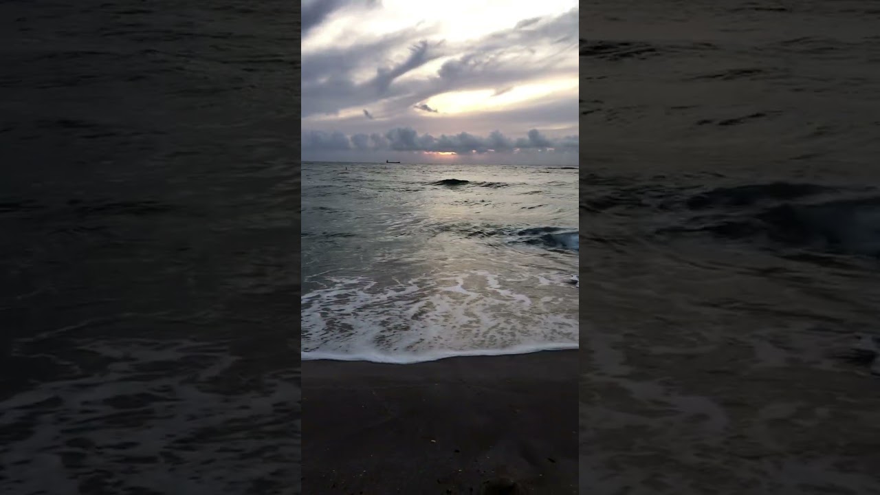 Good morning ☀️ #reesetv #beach #ftlauderdale