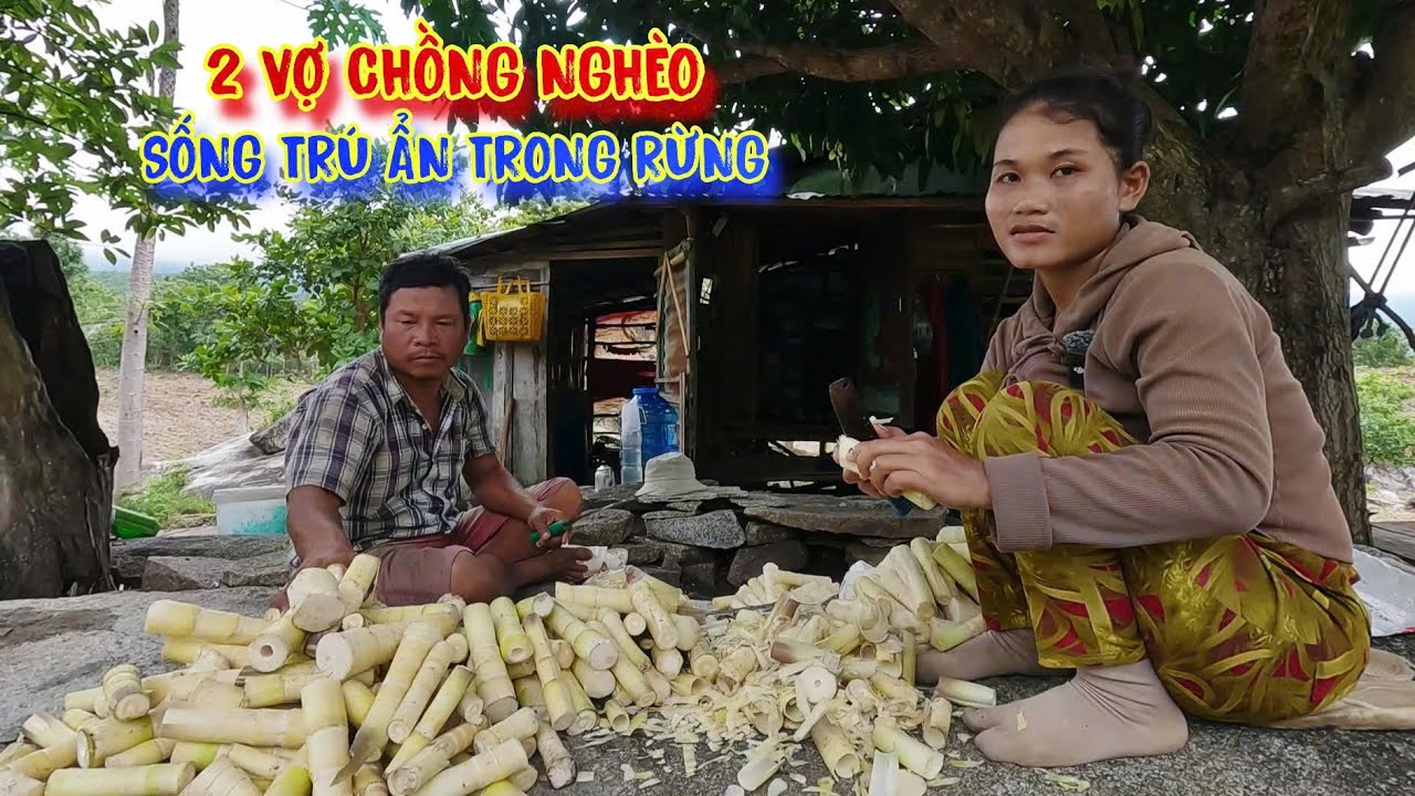 ANH CHÀNG miền tây lấy vợ miền núi, sống ẨN CƯ trong rừng suốt 10 NĂM - tập 1520