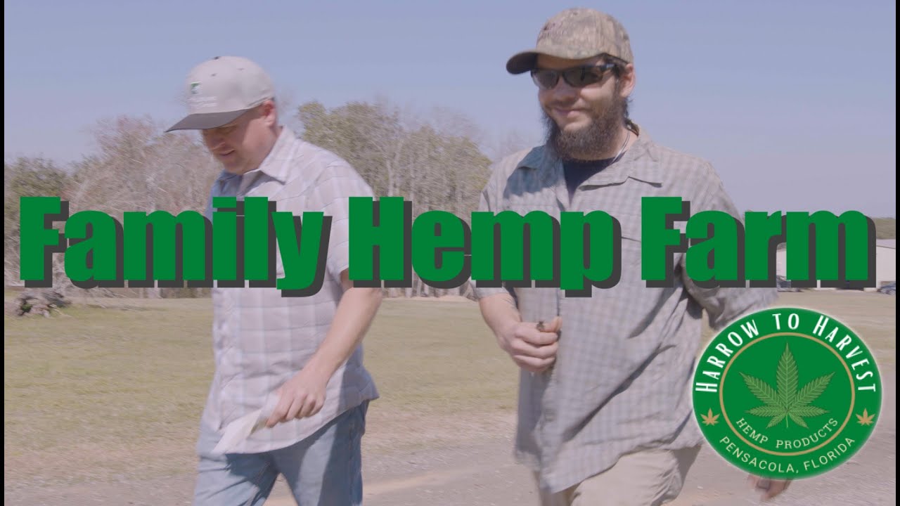 Working on the family Hemp Farm