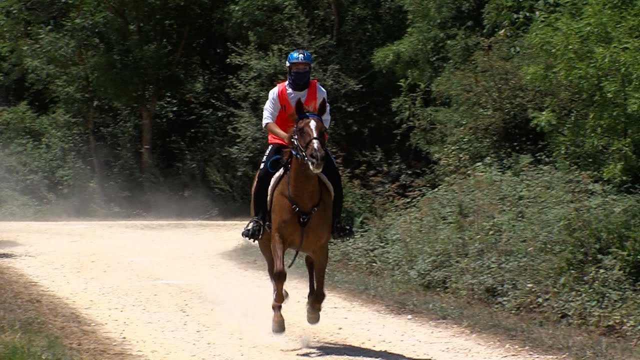 XXI Raid Hípico Vitoria Gasteiz 2022