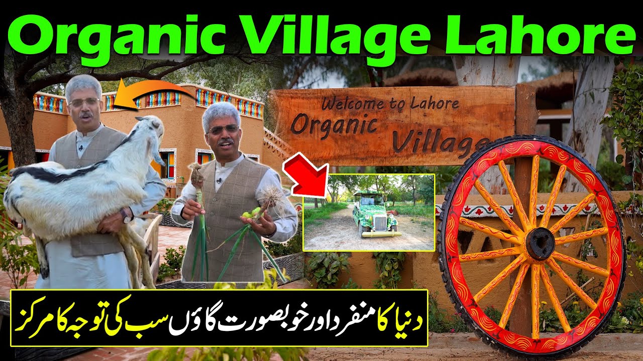 Lahore Organic Village | Log Deewanay Ho Gaye | Discover Pakistan