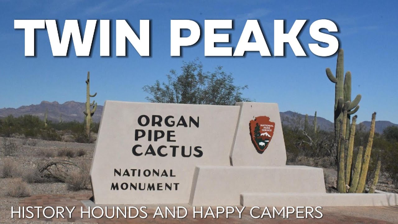 Organ Pipe Cactus TRUTH: Twin Peaks Campground Review (Border Safety & Dry Camping Guide)