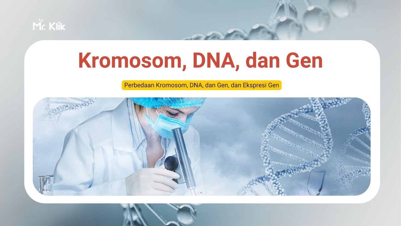 Kromosom, DNA dan Gen | Pewarisan SIfat