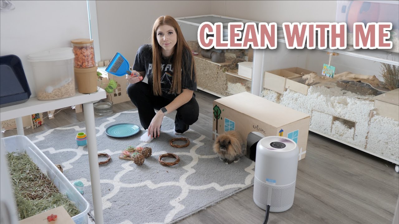 Clean my Pet Room with me! 🧼