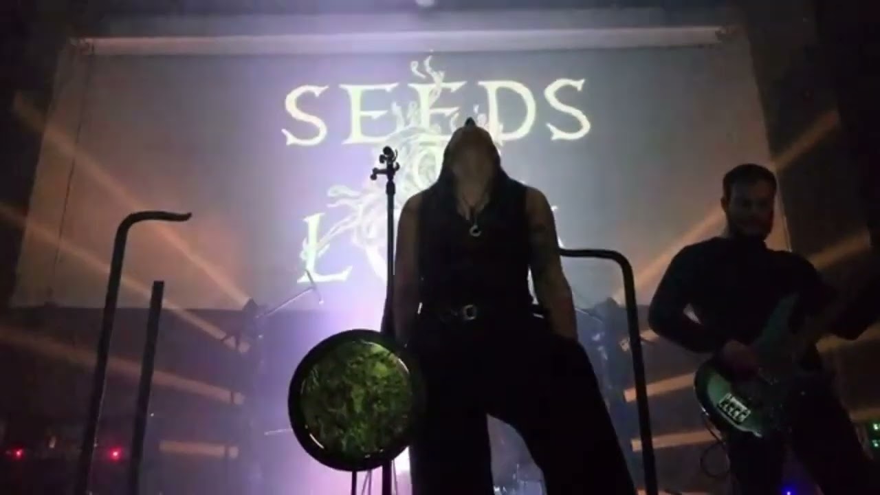 Seeds Of Loss Live At The Winter Rising Festival 2025